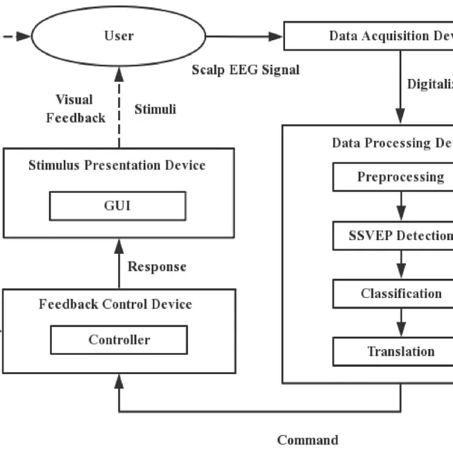 SSVEP-based BCI Robotic Car Control System with MATLAB